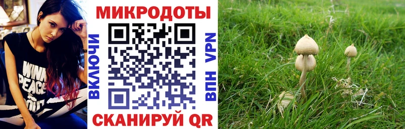 сайты даркнета состав  ОМГ ОМГ как войти  Алушта  Псилоцибиновые грибы Cubensis 